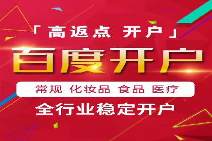 百度竞价广告投放成功案例解析